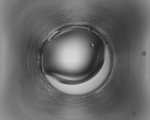 X0000113011161200909171423