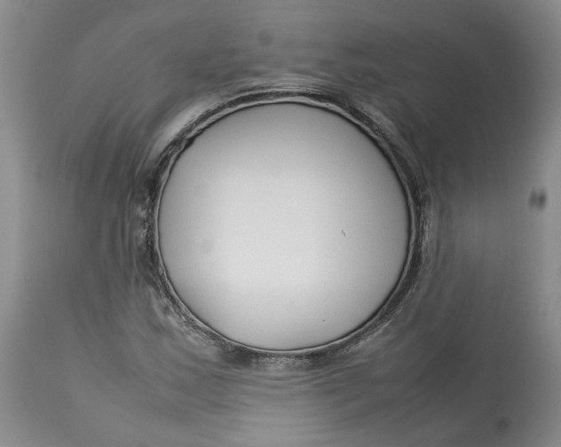 X0000113011163200909171423