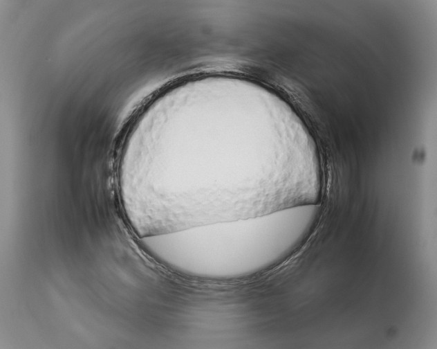 X0000113011164200909171423