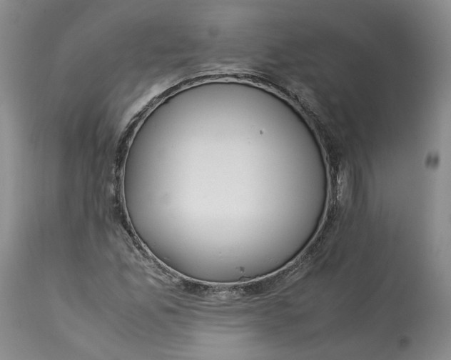 X0000113011165200909171423