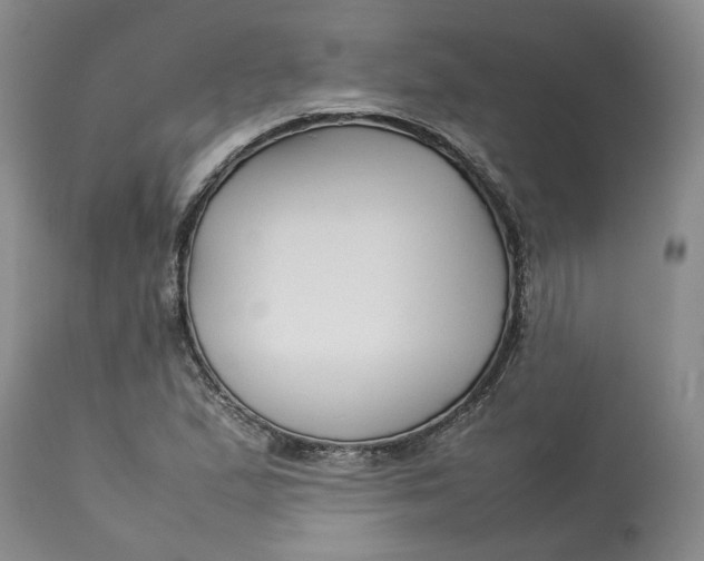 X0000113011167200909171423