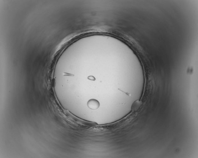 X0000113011168200909171423