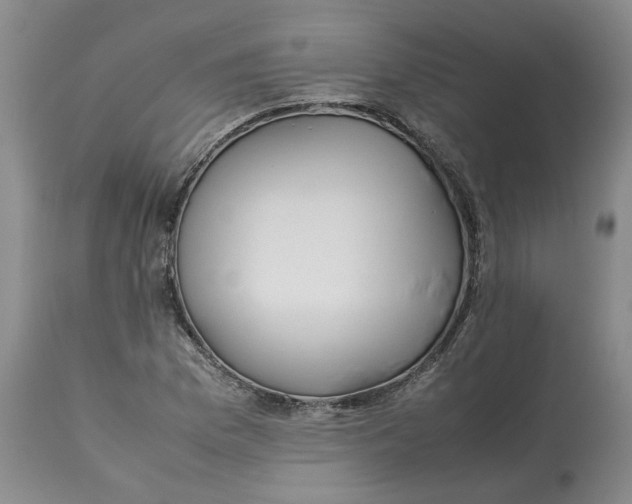 X0000113011169200909171423