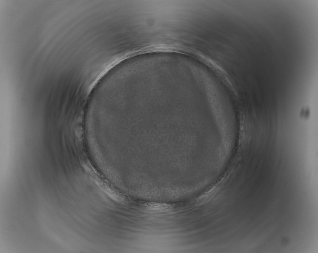 X0000113011170200909171423