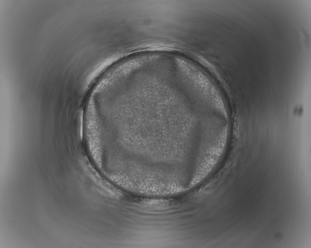 X0000113011171200909171423