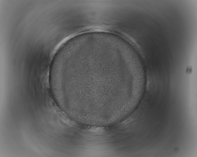 X0000113011174200909171423