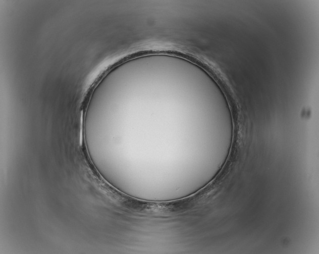 X0000113011175200909171422