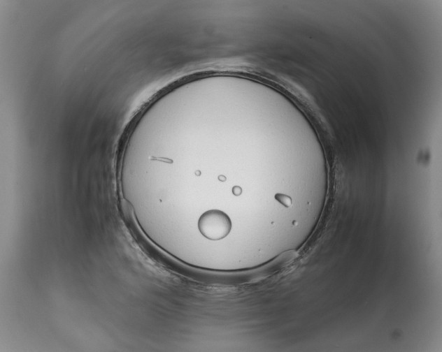 X0000113011176200909171422