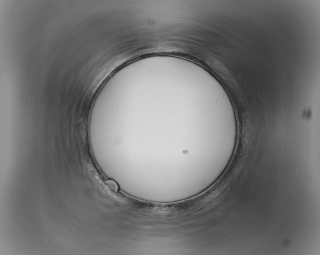 X0000113011177200909171422