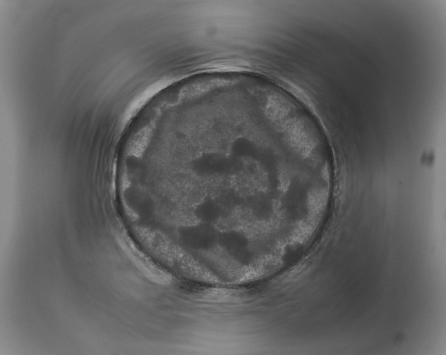 X0000113011179200909171422