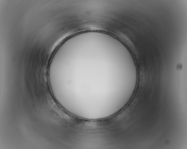 X0000113011182200909171422