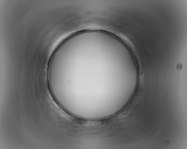 X0000113011183200909171422