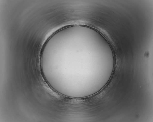 X0000113011184200909171422