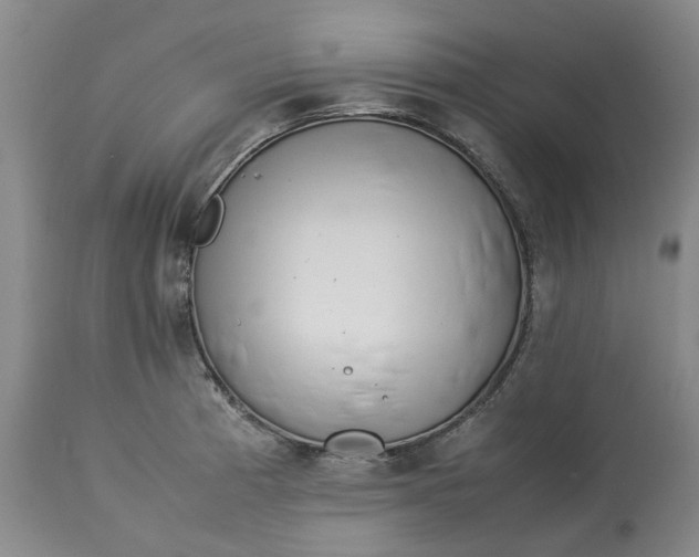 X0000113011185200909171422