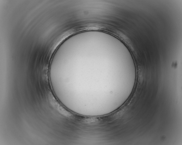 X0000113011186200909171422