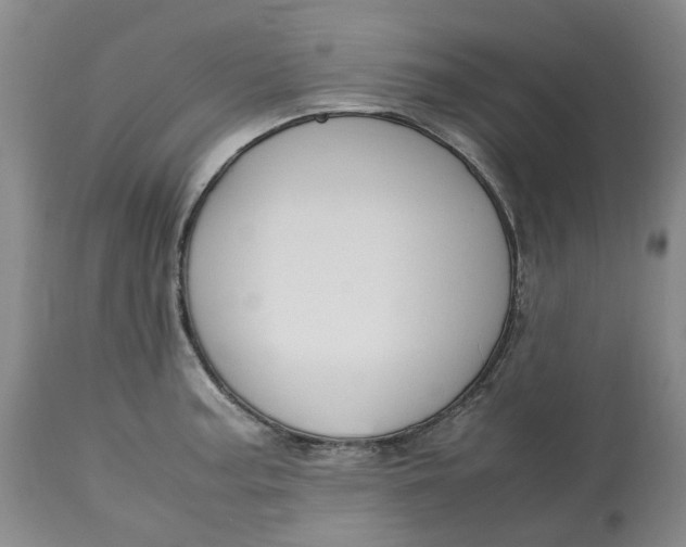 X0000113011187200909171422