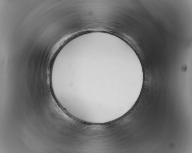 X0000113011188200909171422