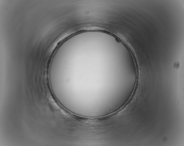 X0000113011189200909171422