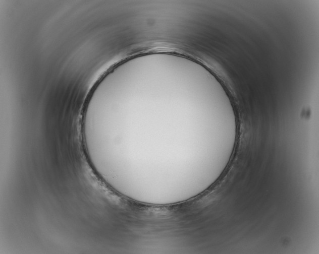 X0000113011190200909171422