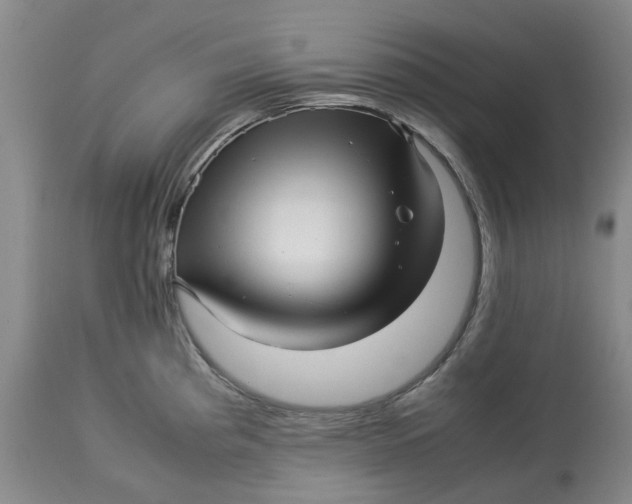 X0000113011193200909171422