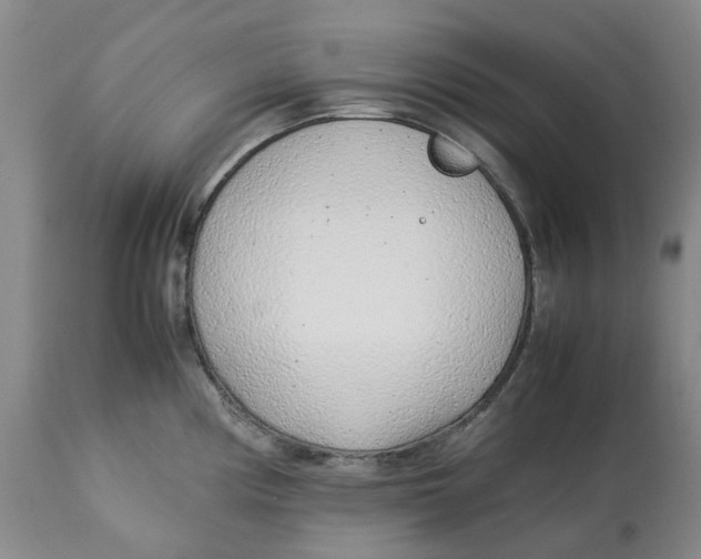 X0000113011194200909171422