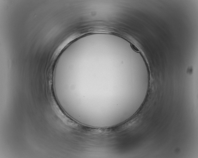 X0000113011195200909171422