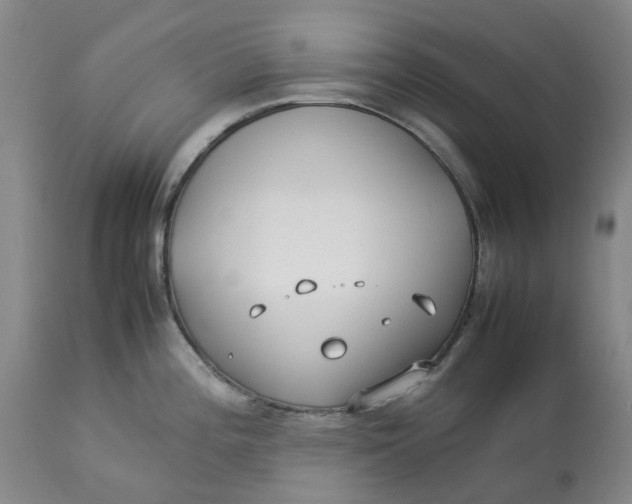 X0000113011196200909171422