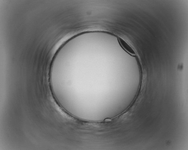 X0000113011197200909171422