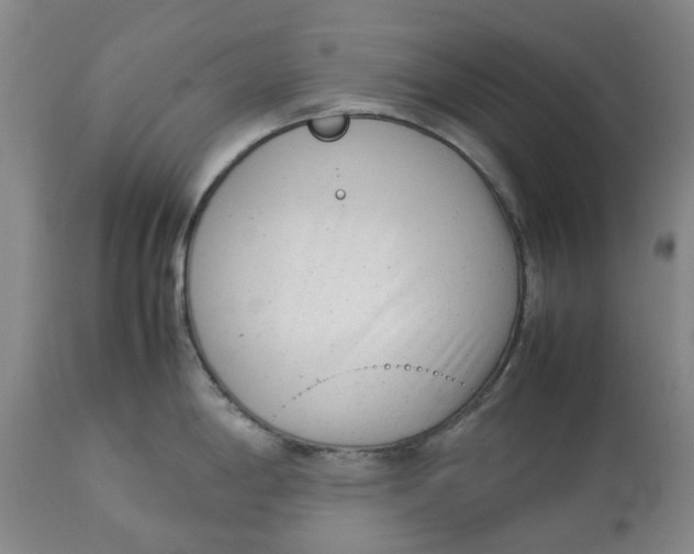 X0000113011198200909171422