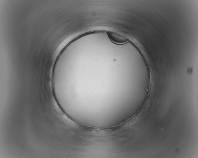 X0000113011199200909171422