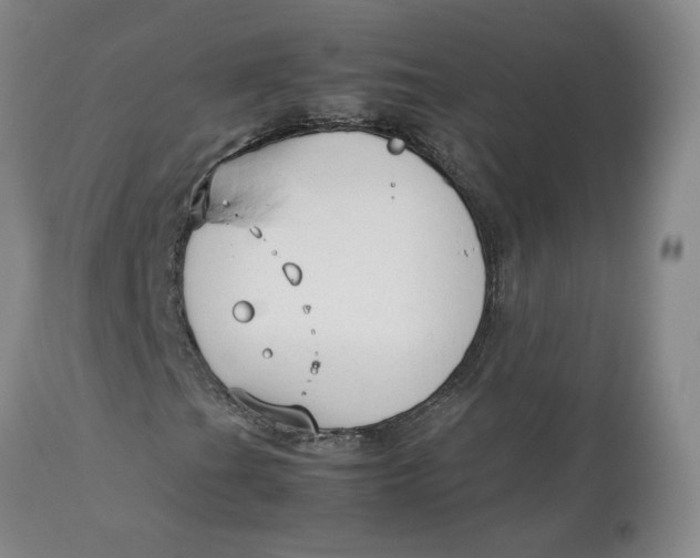 X0000113011201200909171421