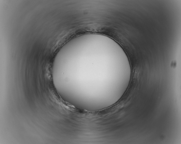 X0000113011202200909171421