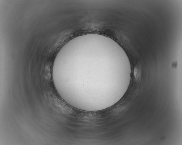 X0000113011203200909171421