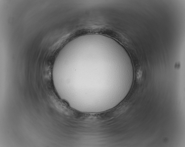 X0000113011204200909171421