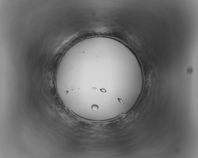 X0000113011205200909171421