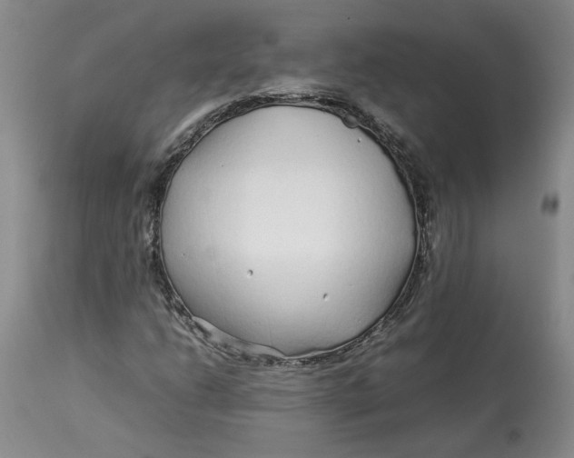 X0000113011206200909171421