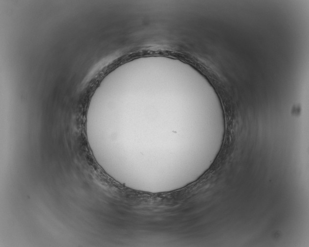 X0000113011207200909171421