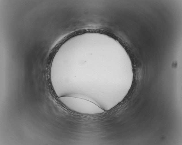 X0000113011208200909171421