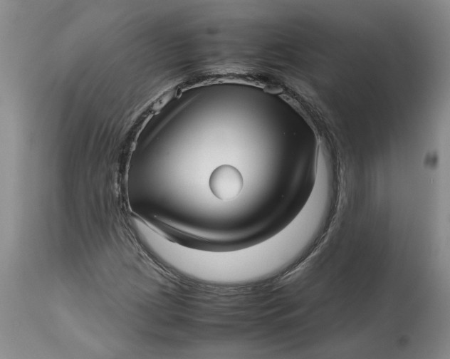 X0000113011209200909171421