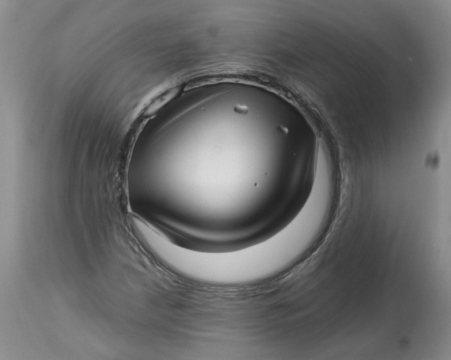 X0000113011210200909171421