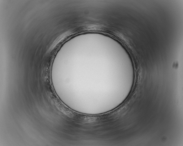 X0000113011211200909171421