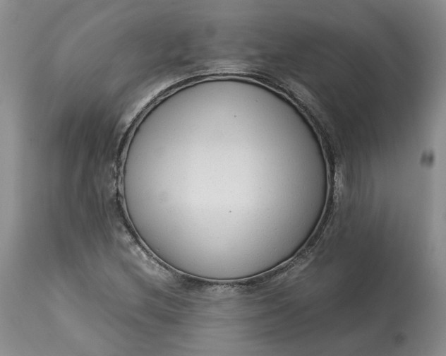 X0000113011212200909171421