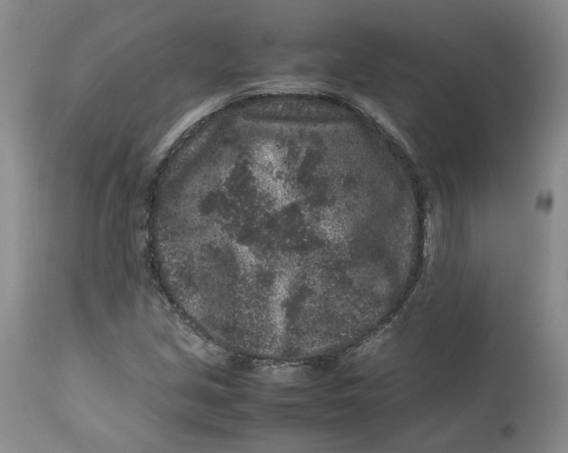 X0000113011213200909171421