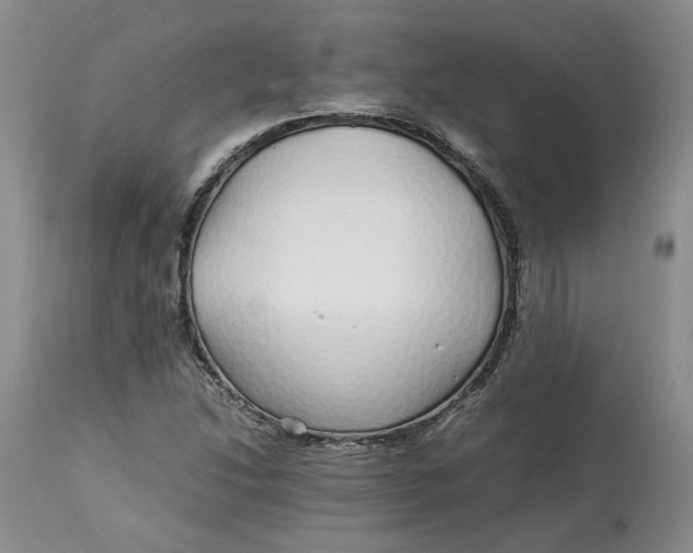 X0000113011214200909171421