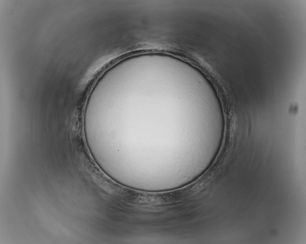 X0000113011215200909171421