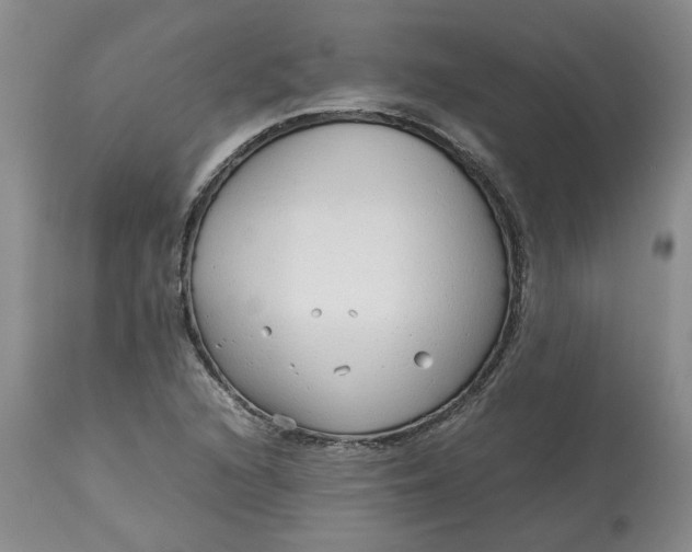 X0000113011216200909171421