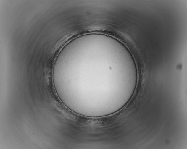 X0000113011217200909171421