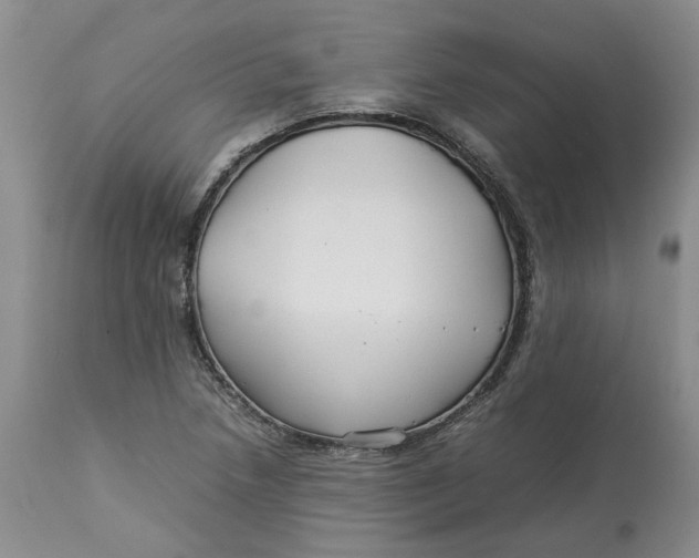 X0000113011218200909171421