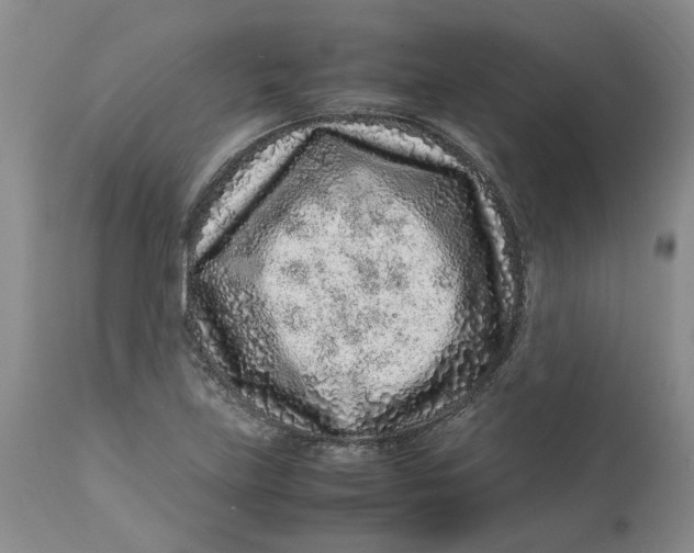 X0000113011219200909171421