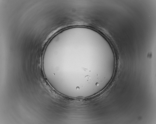 X0000113011220200909171421